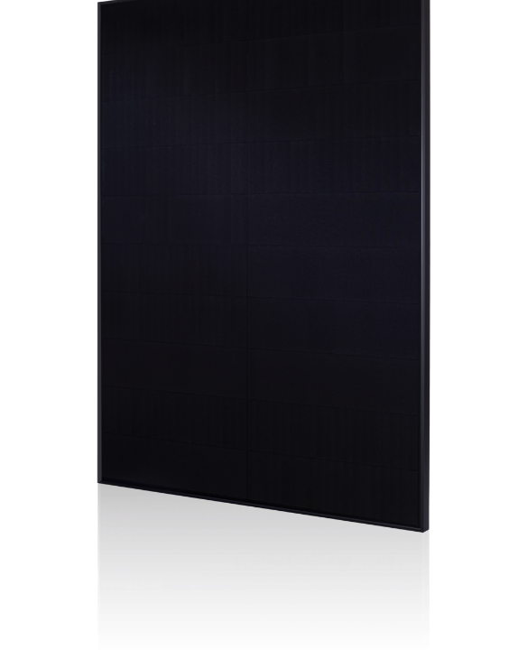 Bluesun Solar Panel 1